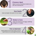 russell-lupine-seeds-perennial---grows-4-6.jpg