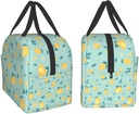 cute-lemon-lunch-box-bento-box-insulated-4.jpg