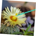 milisten-100pcs-manual-pollinating-tool--4.jpg