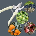 3cr13-garden-shears-farmer-florist-prune-3.jpg