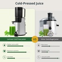 slow-masticating-juicer-cold-press-juice-5.jpg