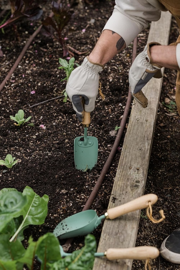 barebones-spade-hand-trowel---gardening--4.jpg