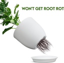 plant-pots-8-inch-set-of-2-flower-pots-w-2.jpg