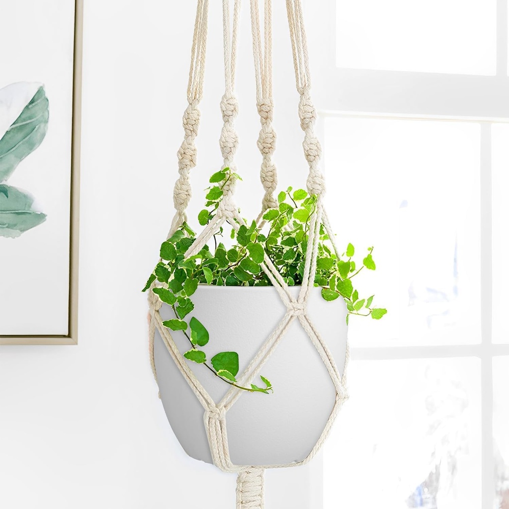 plant-pots-8-inch-set-of-2-flower-pots-w-6.jpg