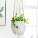 plant-pots-8-inch-set-of-2-flower-pots-w-6.jpg