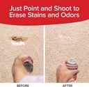 horsepower-bull-shot-carpet-spot-stain-r-4.jpg