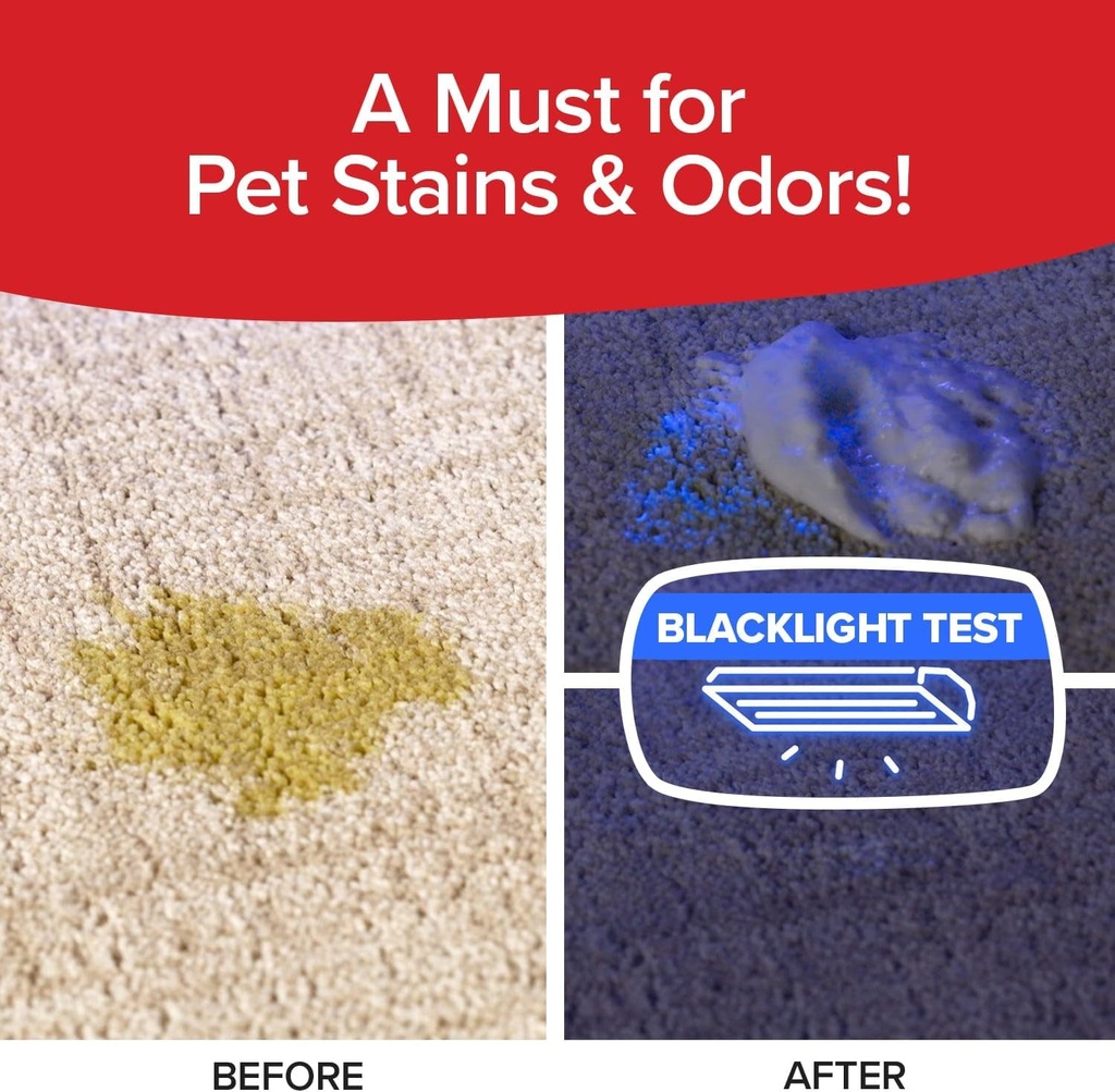 horsepower-bull-shot-carpet-spot-stain-r-5.jpg
