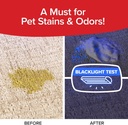 horsepower-bull-shot-carpet-spot-stain-r-5.jpg