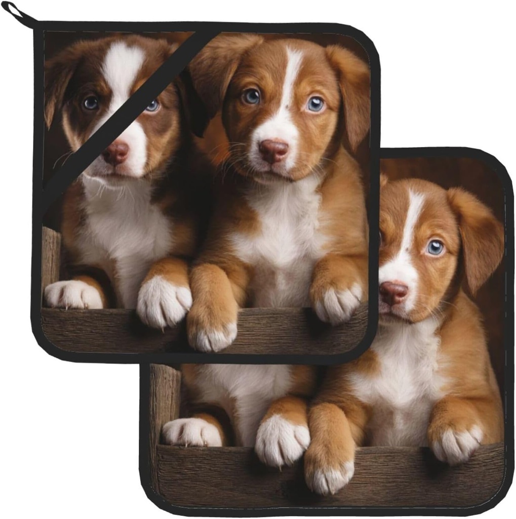 pot-holders-set-of-2-kitchen-heat-resist-3.jpg