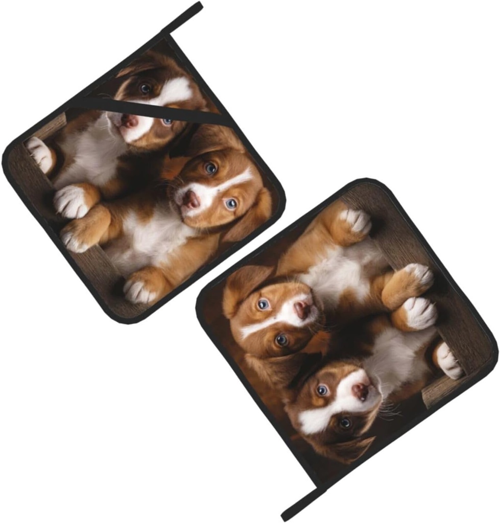 pot-holders-set-of-2-kitchen-heat-resist-4.jpg