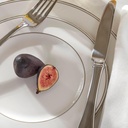 lenox-895707-federal-platinum-12-piece-d-3.jpg