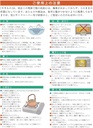 せともの本舗-divider-plate-teisenhana-hiwami-s-5.jpg