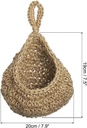 home-and-garden-parts-2pcs-hanging-fruit-2.jpg
