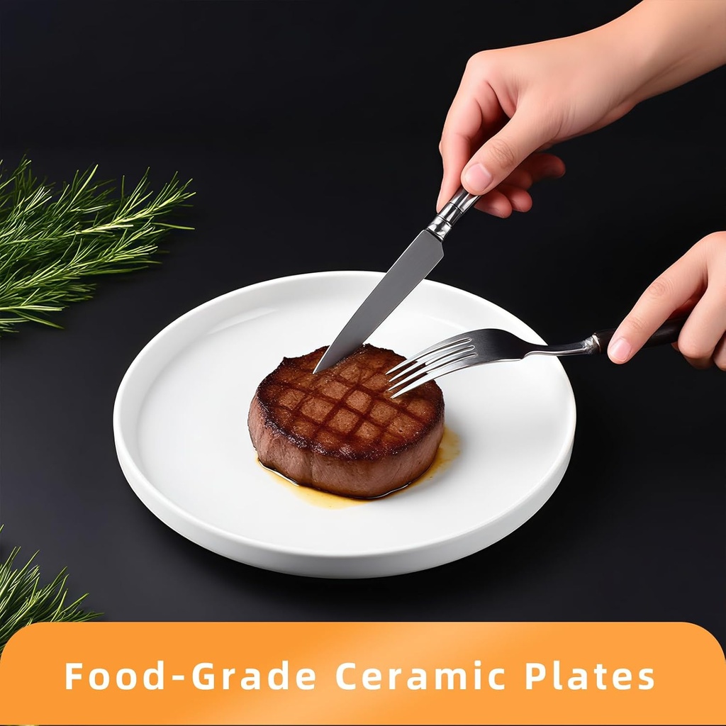 white-dinner-plates-set-of-6-10-inch-por-5.jpg